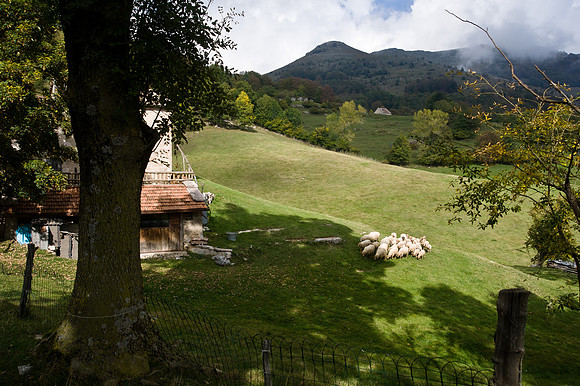 campofontana