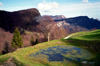 tormeno
