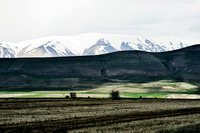 033_Erzurum