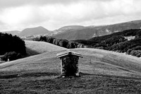 campofontana