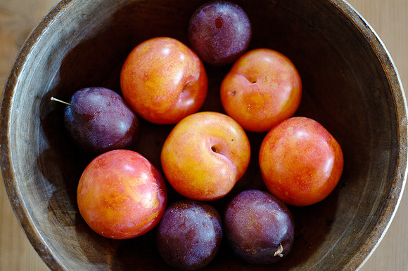 bowl