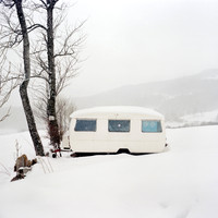 into the white