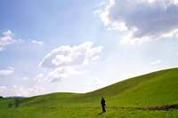 asiago